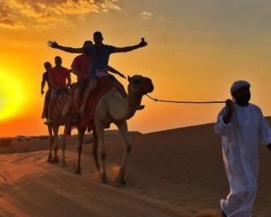 Camel Ride in Dubai Desert